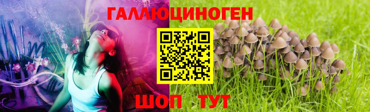 Коркино  Псилоцибиновые грибы MAGIC MUSHROOMS  Вход с VPN  Псилоцибиновые грибы Magic Shrooms 